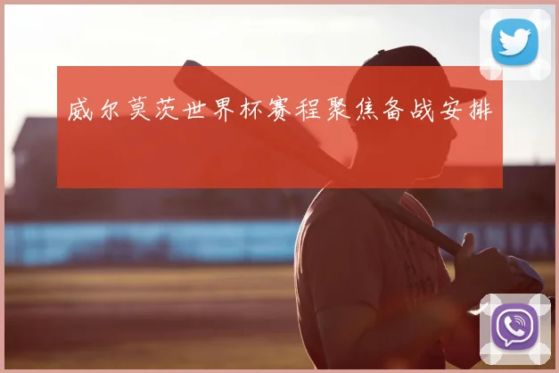 威尔莫茨世界杯赛程聚焦备战安排